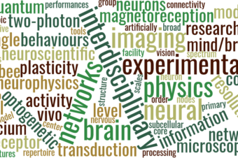 PhD position in Neuroscience (4-years) on Magnetoreception in Italy